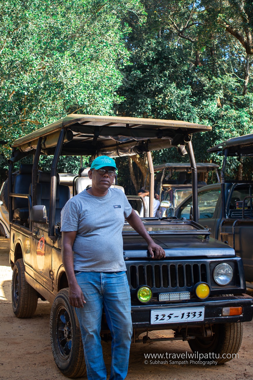 Safari Tours